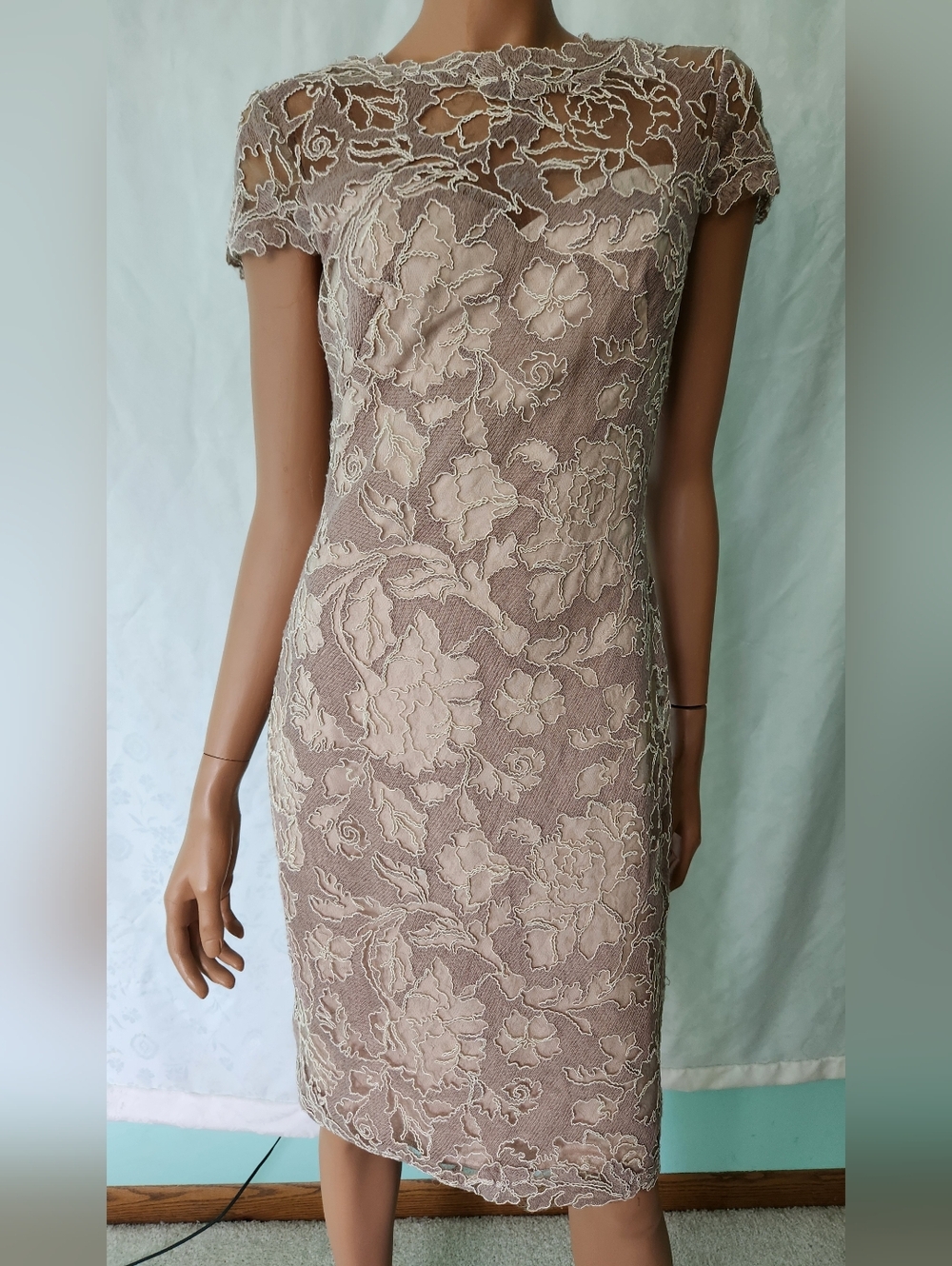 TADASHI SHOJI Corded Embroidery on Tulle Cap Sleeve LACE SHEATH Sz 6